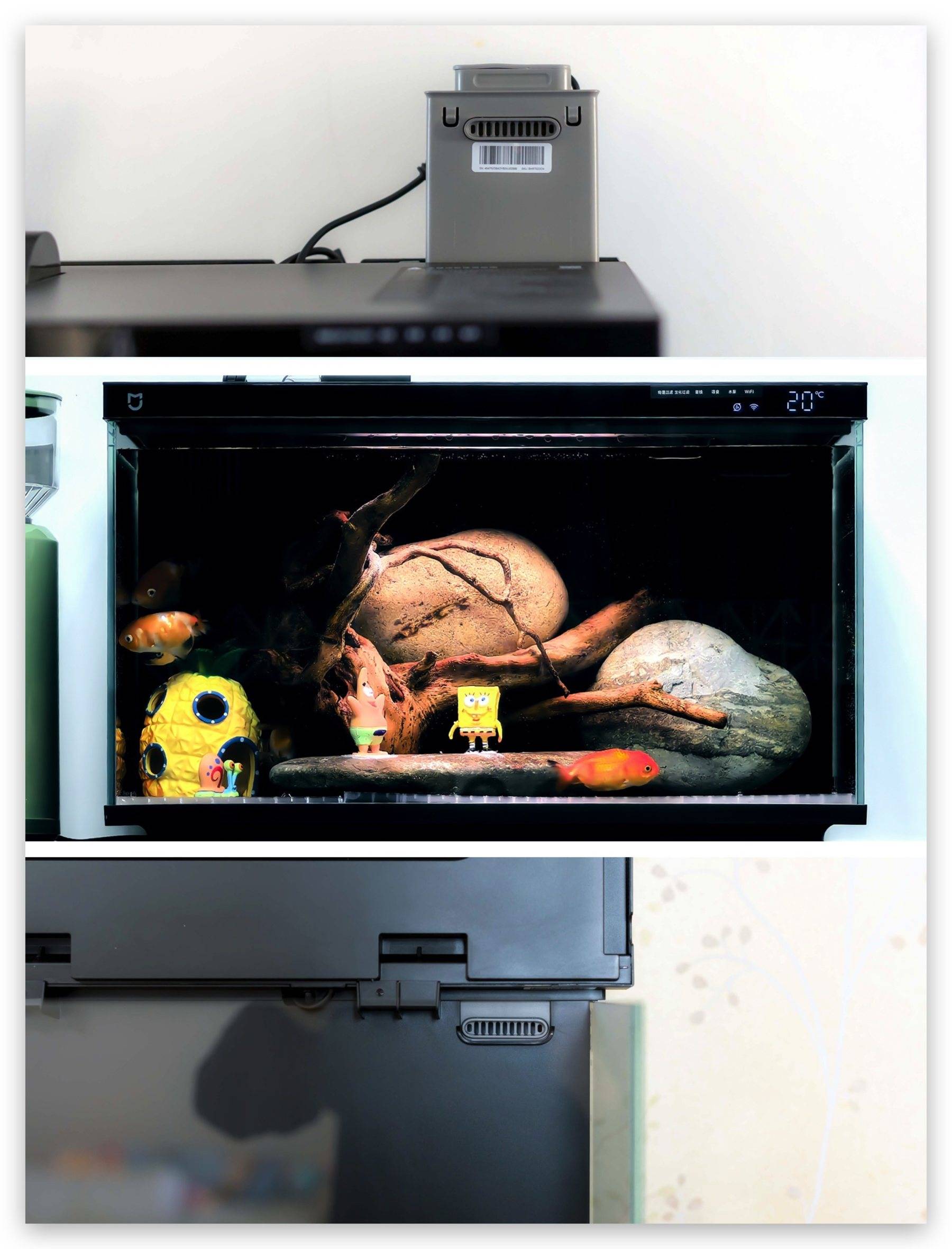 起到净化水质的作用