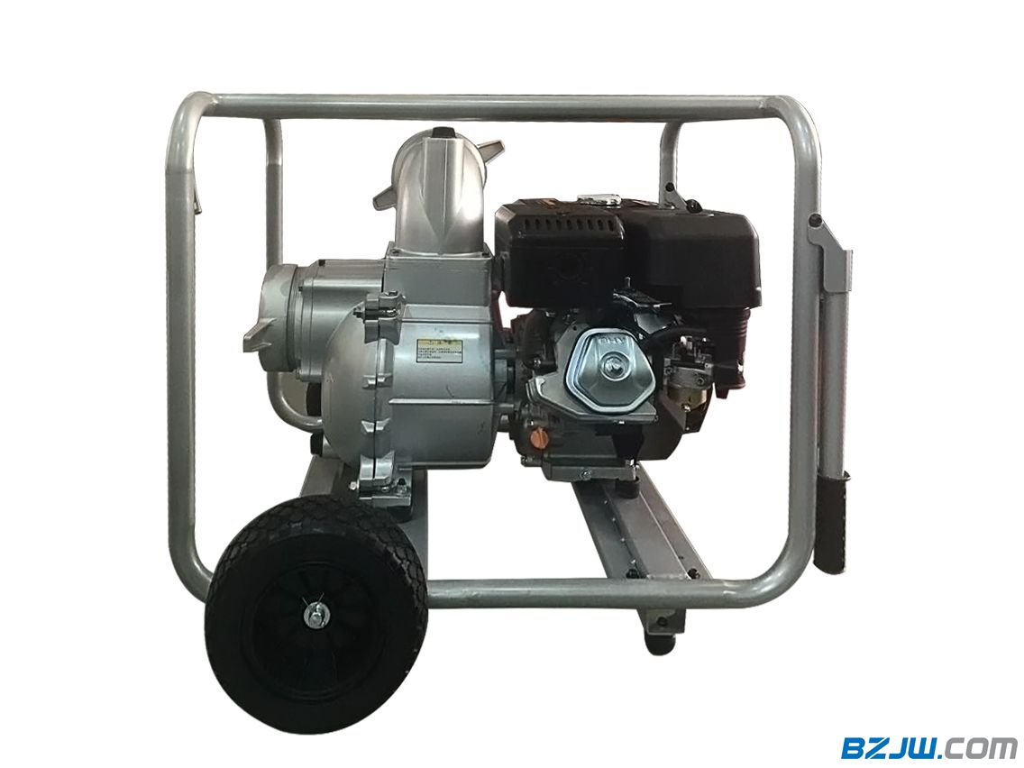 自治机关对征用、占用林地实行占补平衡和依法审批制度